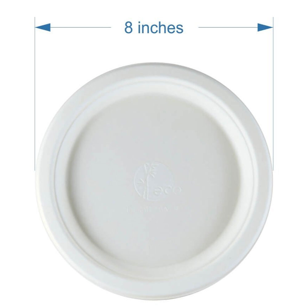 Disposable Plain Dish 8